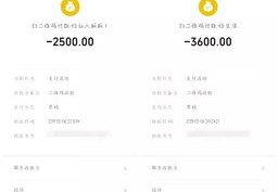 公安网查询个人信息犯罪记录查询,守护个人信息的坚实防线