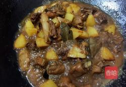 土豆红烧鸡的家常做法,土豆红烧鸡的制作秘诀与技巧