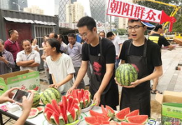 朝阳群众在线吃瓜网,揭秘都市生活百态