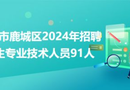2024年招聘网最新招聘,最新行业岗位汇总与职业发展指南