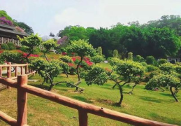 厦门园林植物园,自然与人文的绿色宝库