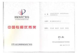 中国专利官网查询,快速掌握专利信息检索技巧