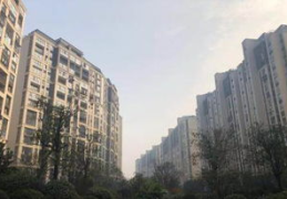 长沙丽发新城最新房价,涨跌几何，投资风向标揭晓