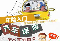 车辆保险都有哪些,车辆保险种类及保障范围全面解析