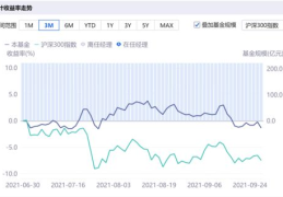 基金481001,“工银瑞信外围代价基金（481001）投资解析与业绩回顾”