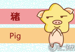 属猪2019年运势,机遇与挑战并存，把握关键点迎好运