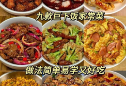 菜谱家常菜大全,解锁美味生活的秘诀