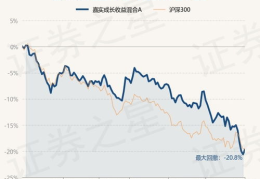 嘉实成长收益基金,稳健投资策略下的长期增值之道