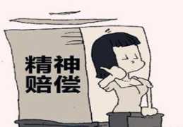 精神损失费赔偿标准,损害程度与赔偿金额的界定